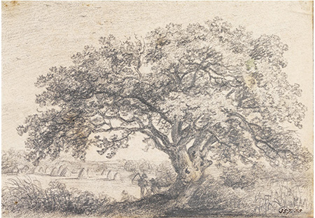An Oak Tree in a Hayfield, John Constable, 1810, V & A
