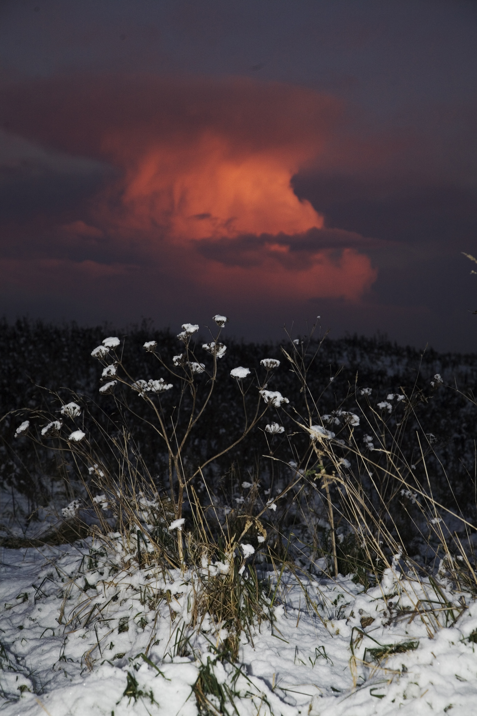 Dollymount snow.jpg