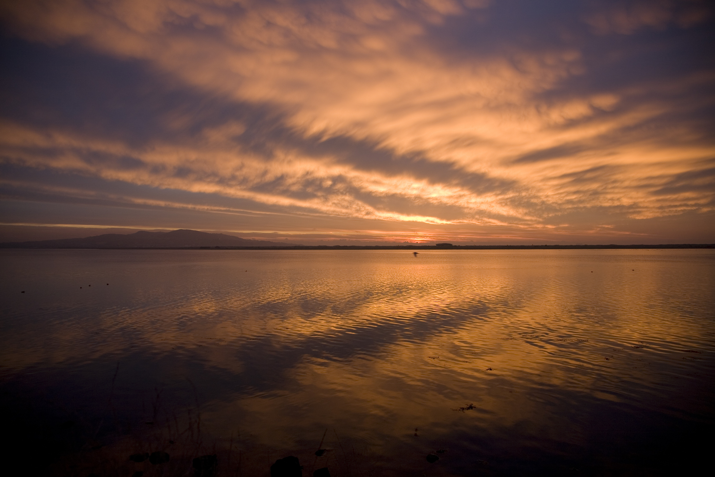 Dollymount sunrise.jpg