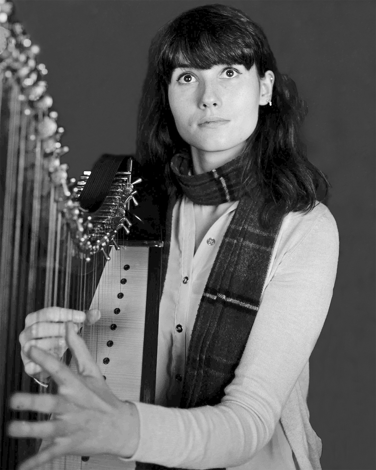 ST Large format 2_harp001_04.jpg