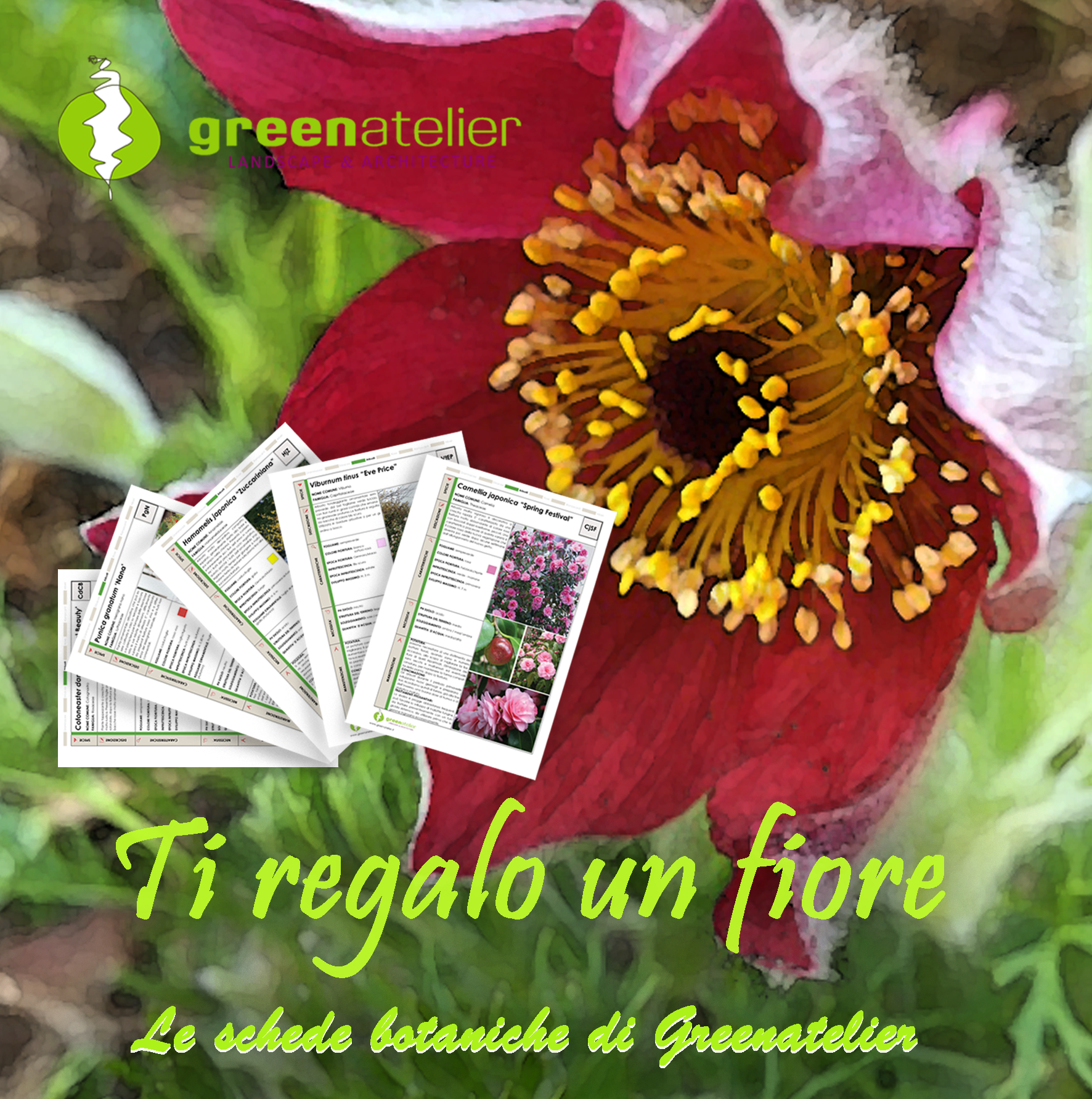 TI REGALO UN FIORE - INSTAGRAM IMMAGINE anemone.png