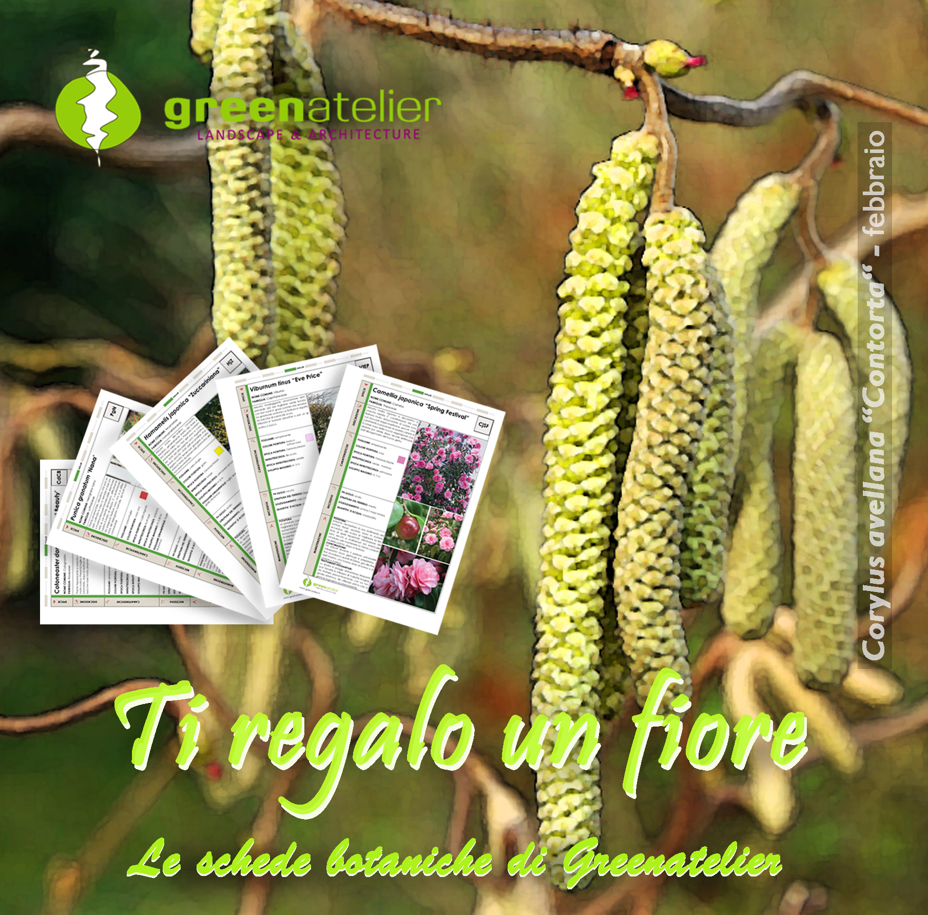 TI REGALO UN FIORE - INSTAGRAM corylus 2.png