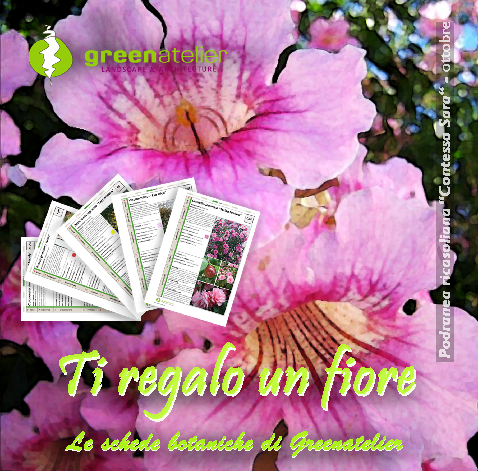 TI REGALO UN FIORE - INSTAGRAM podranea 2.png