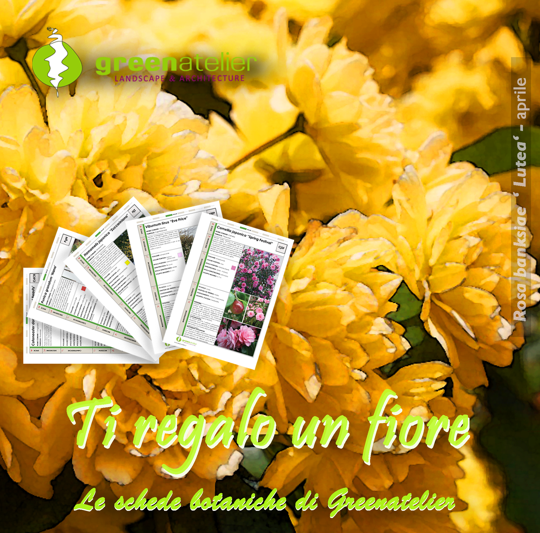 TI REGALO UN FIORE - INSTAGRAM rosa.png