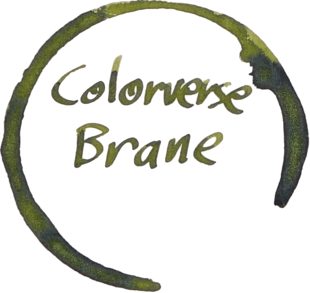 Brane Logo 1.png