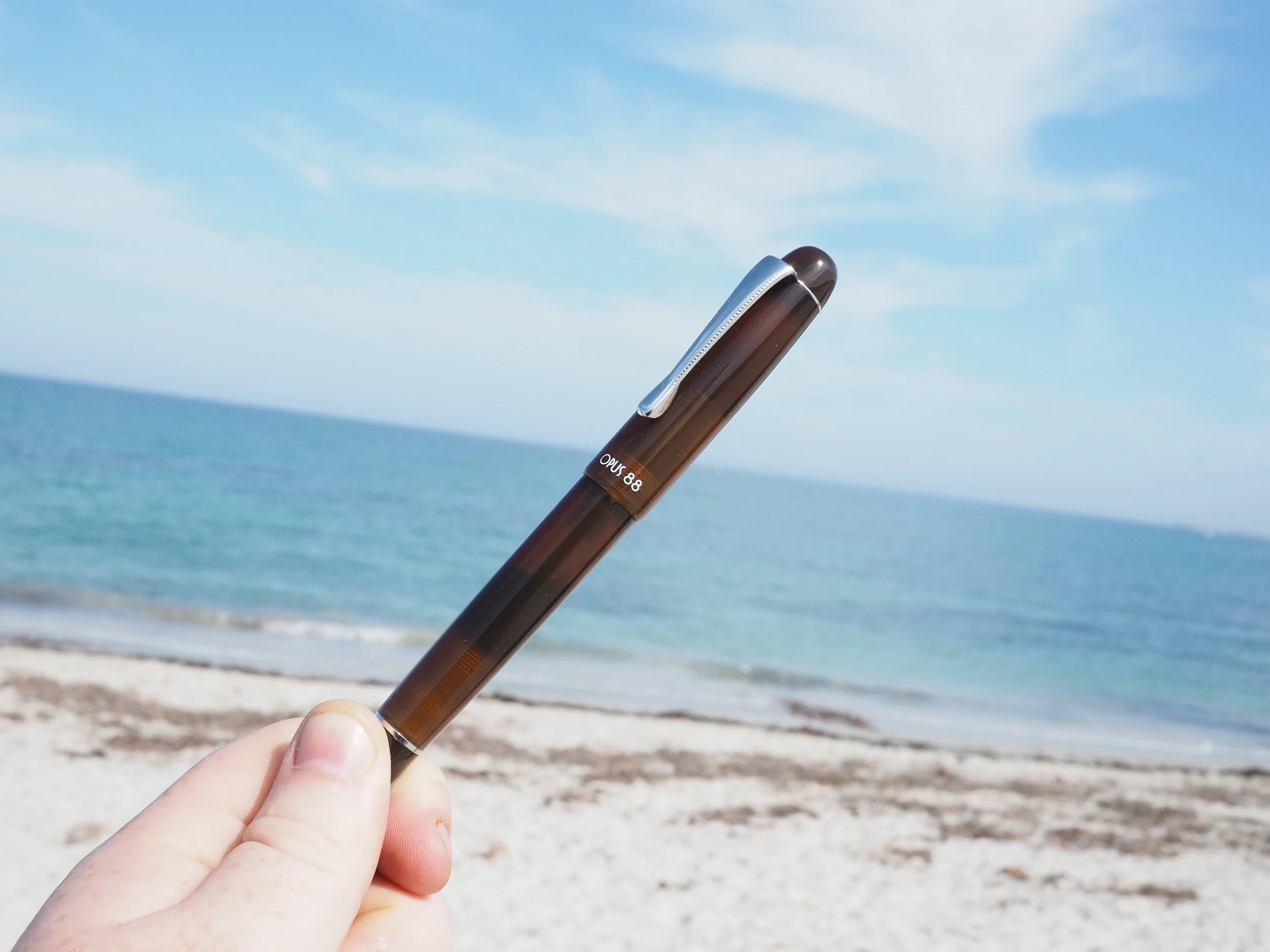 Beach Photo.jpg