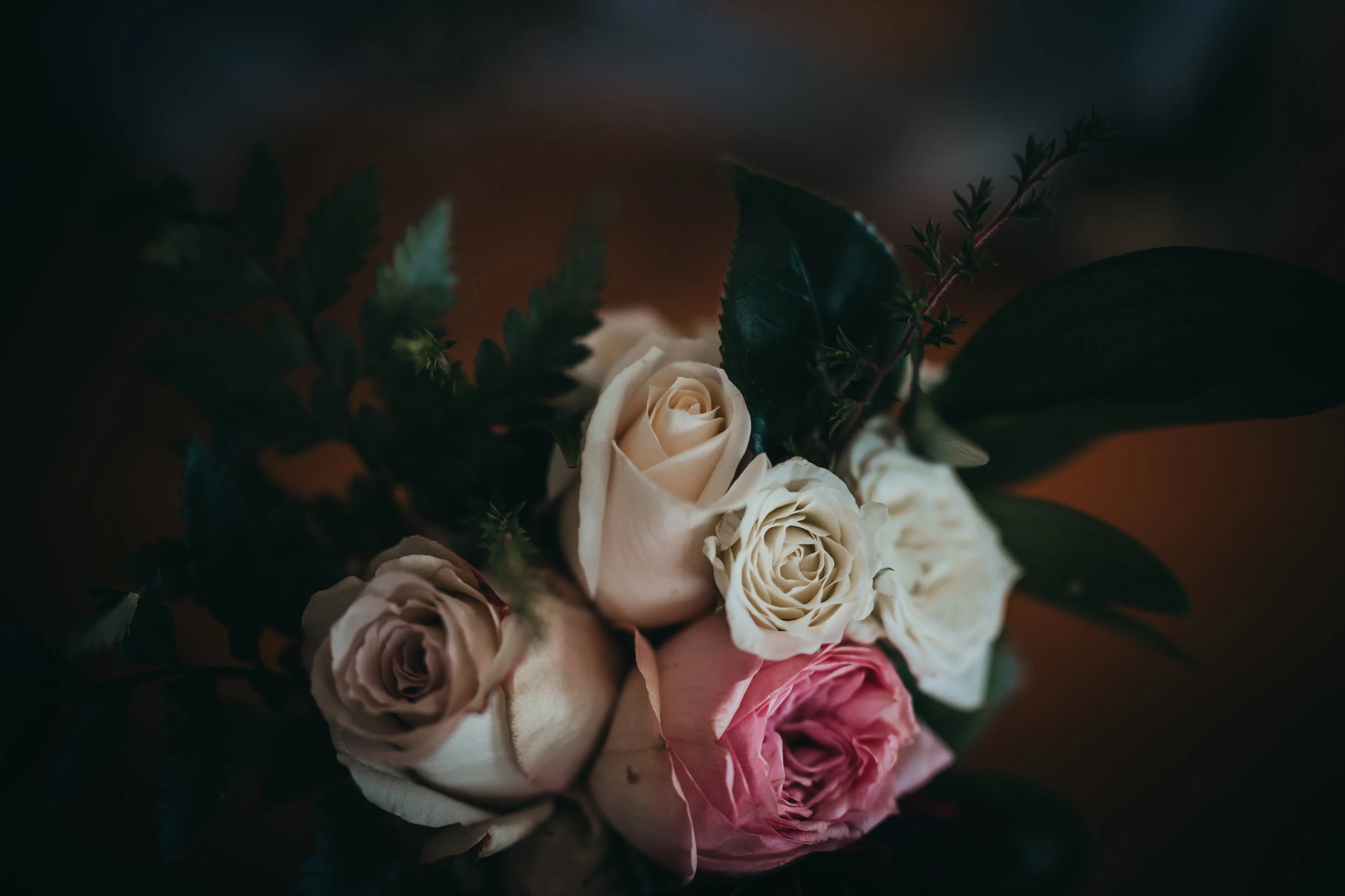 20190209_susieandconnor_SM_5209.jpg