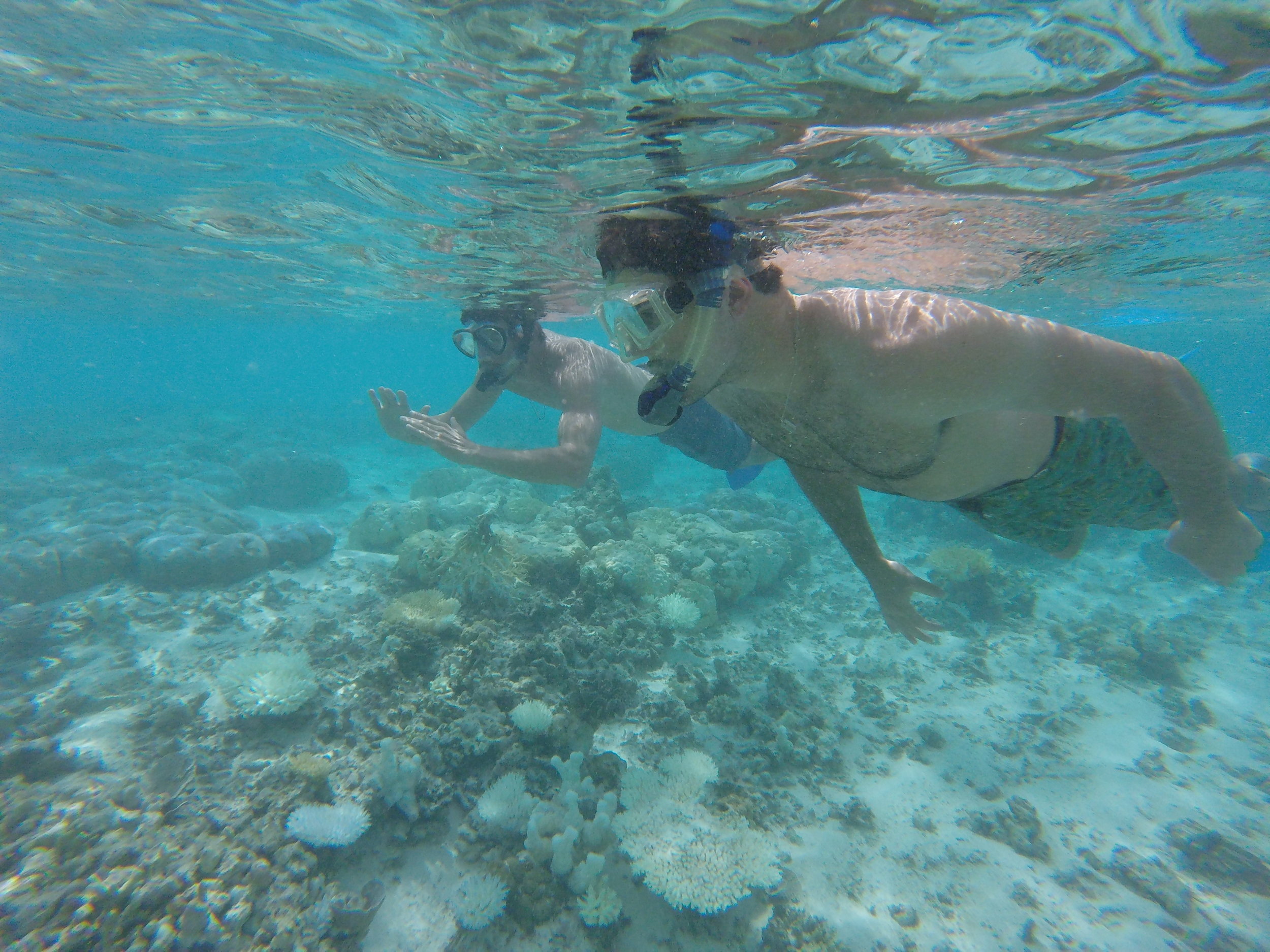 We took a boat to a few snorkeling spots, it's shallow enough to snorkel and not have to worry about paying for a full SCUBA dive