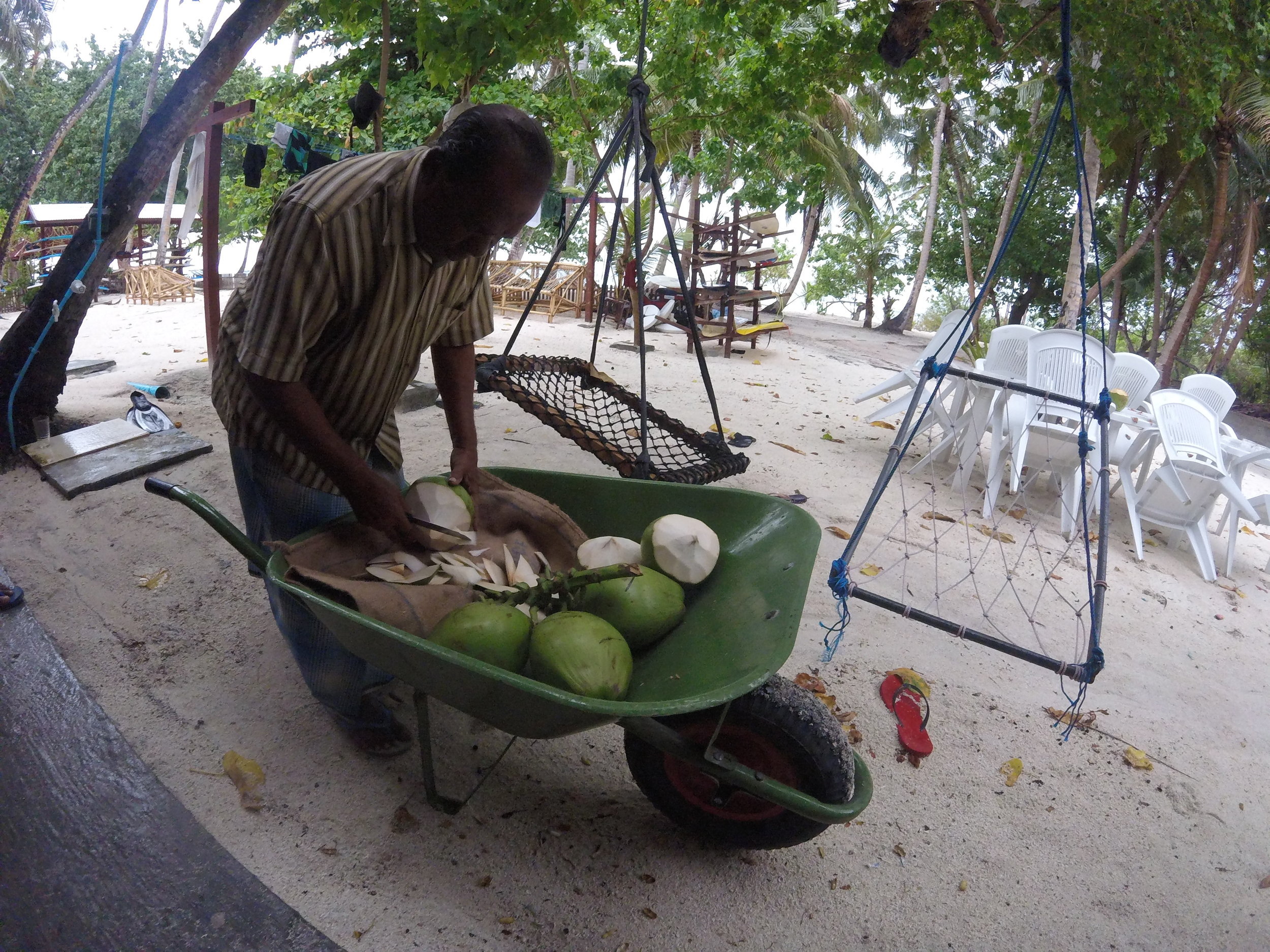 Yes there is a coconut man on the island going around to get you the real coconut water fix