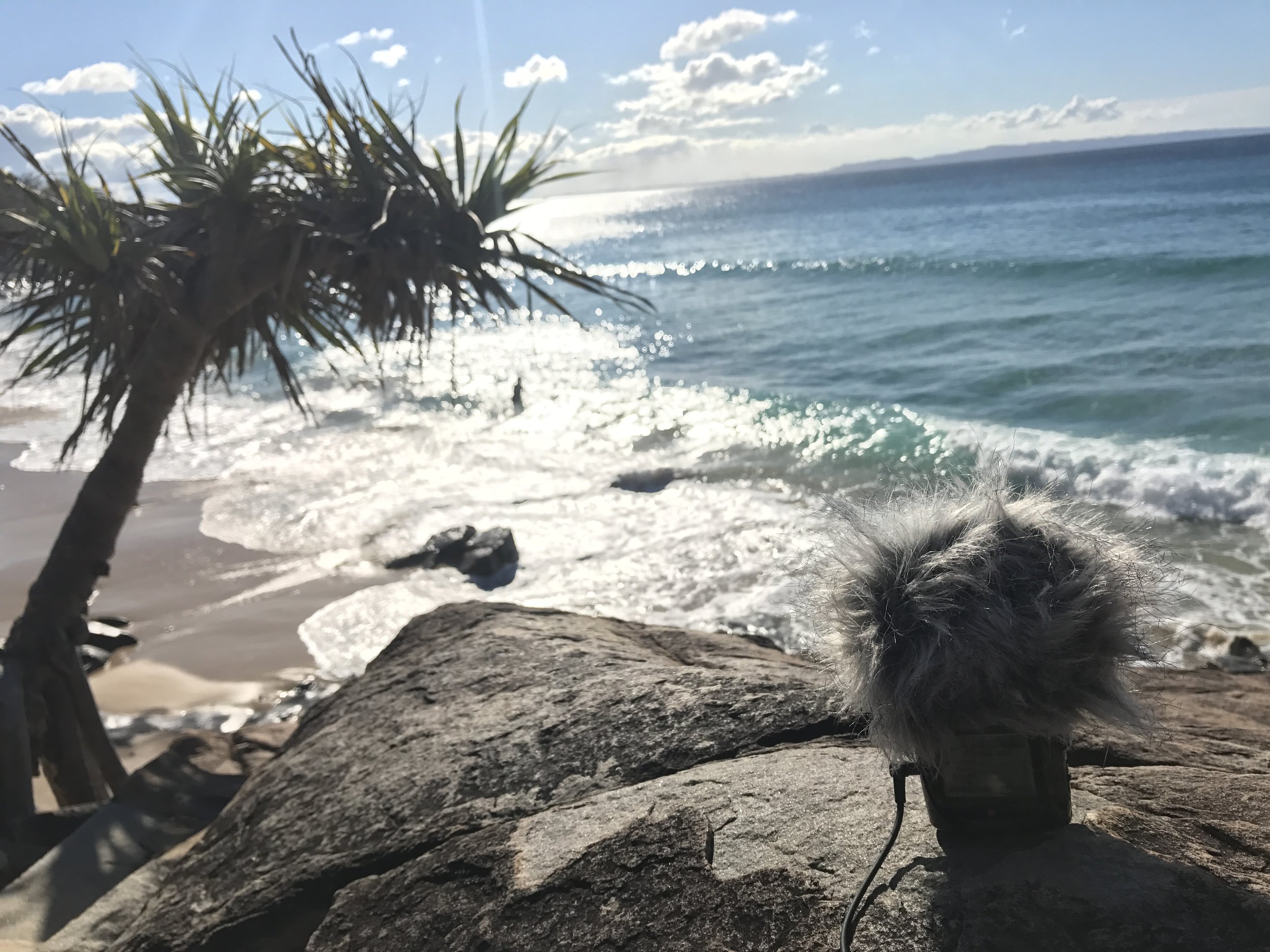 Quick wave atmos recording in Noosa with Zoom H2n in it's Ambisonic mode