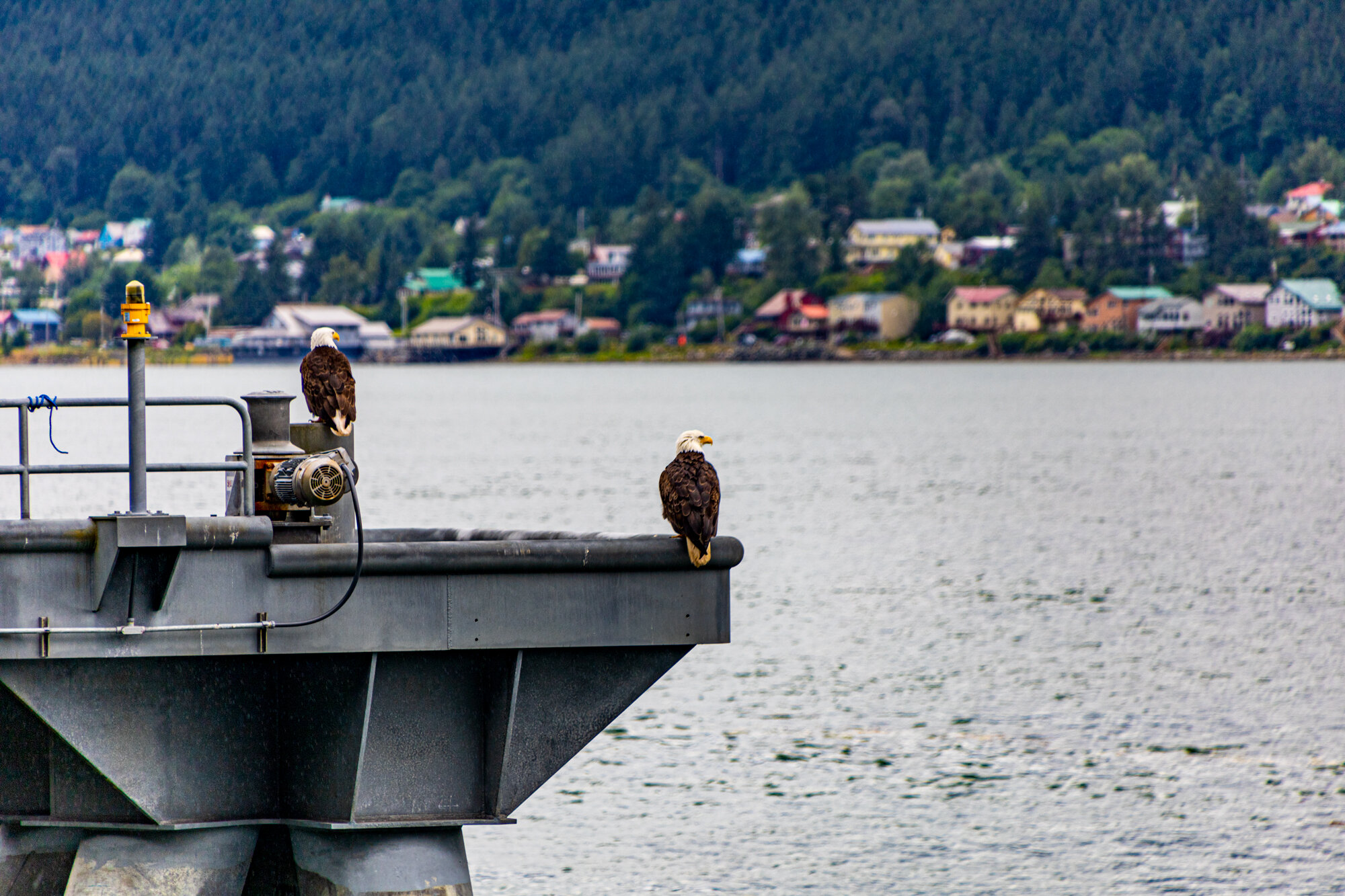 IMG_9376_Juneau_Web.jpg