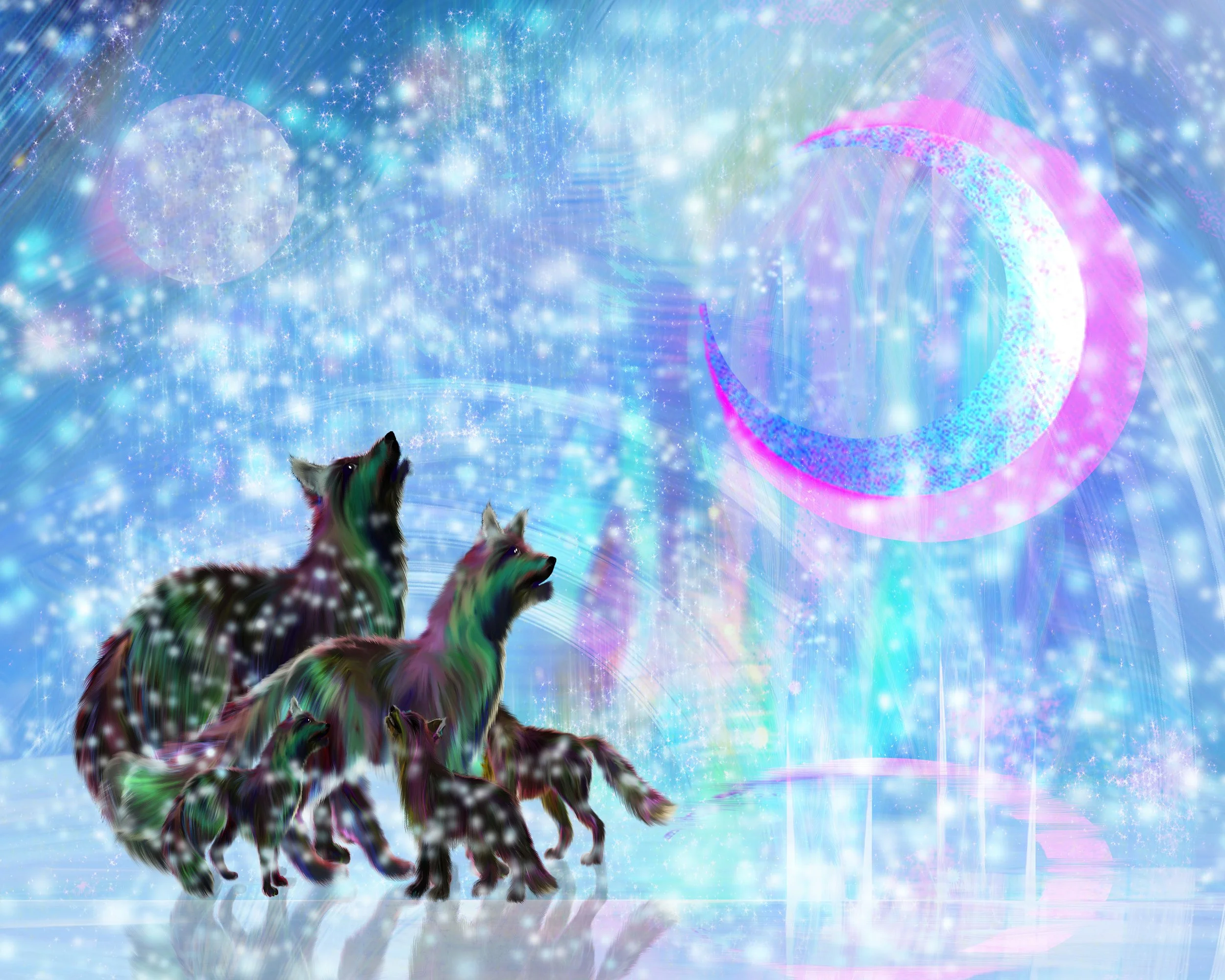 foxesSnow8X10 copy.jpg