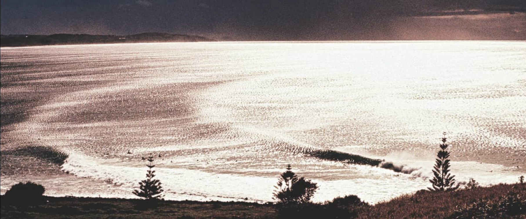 Dave Rastovich and Chris del Moro