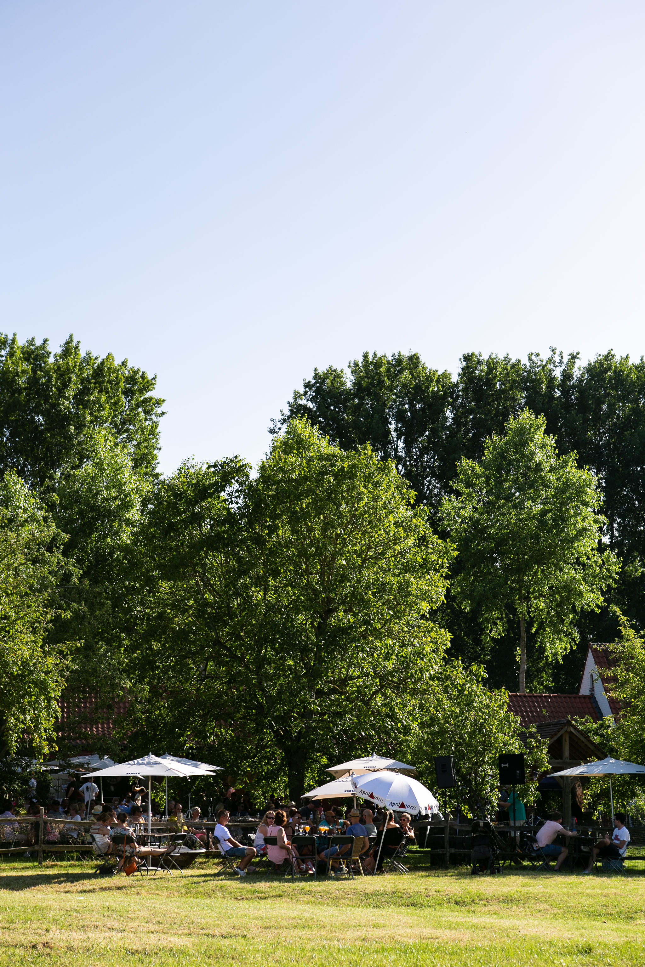 Siphon-2019-24.jpg