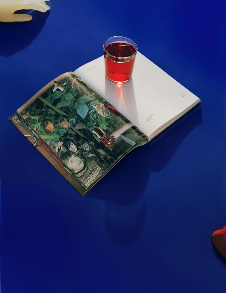 I libri svizzeri più belli alla villa dei Cedri, Bellinzona