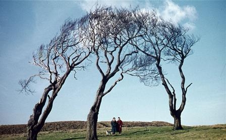 The Three Sisters (1968)
