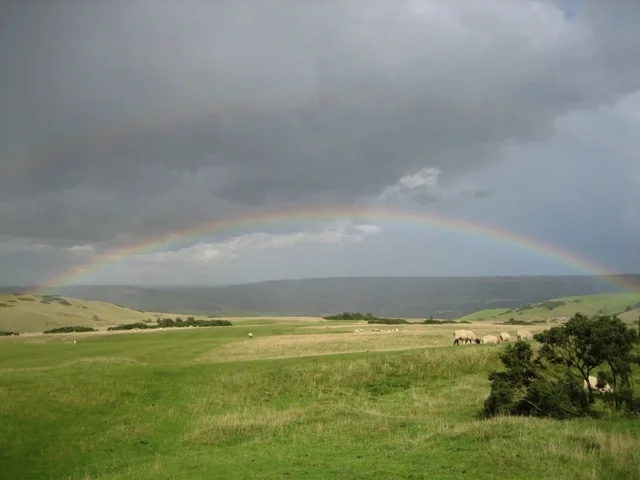 Rainbow