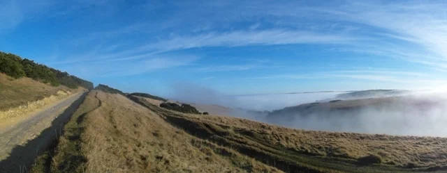 January mist 2015 (1)