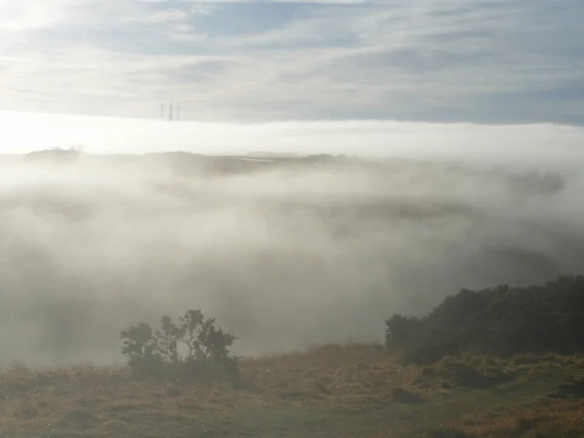 January mist 2015 (3)