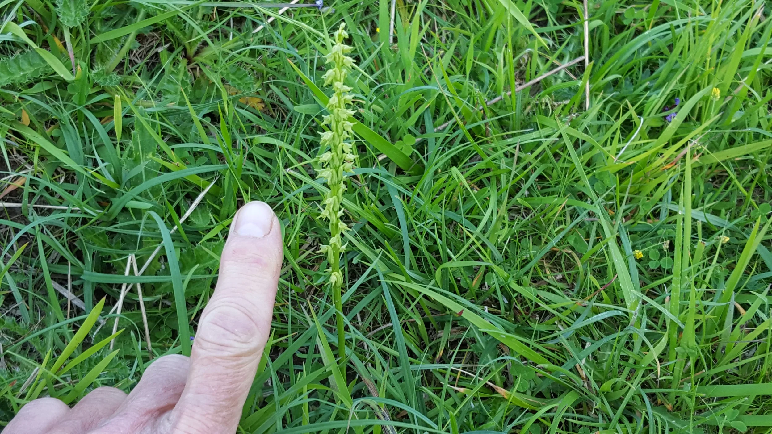 20160705_201834.jpg