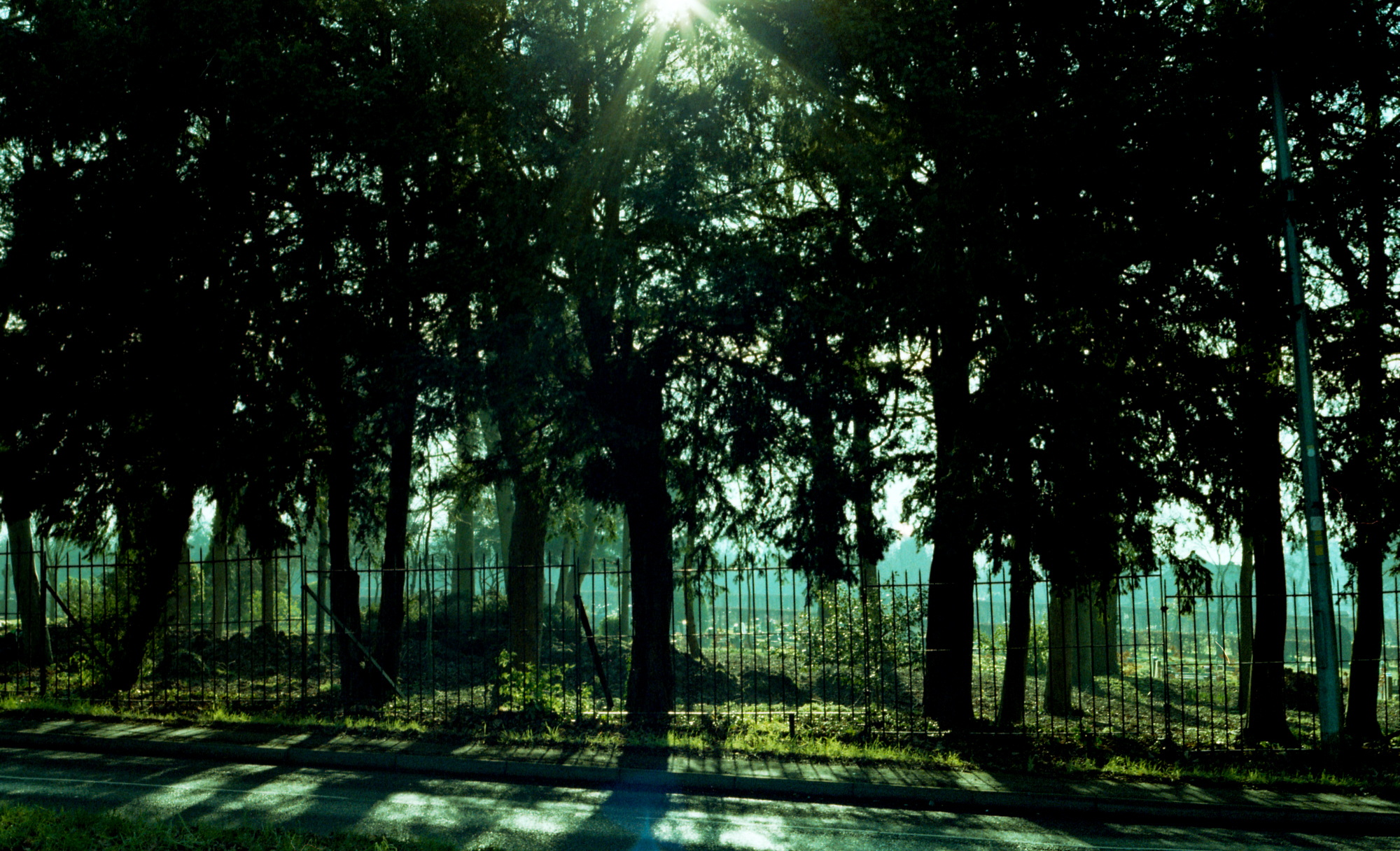 img050.jpg