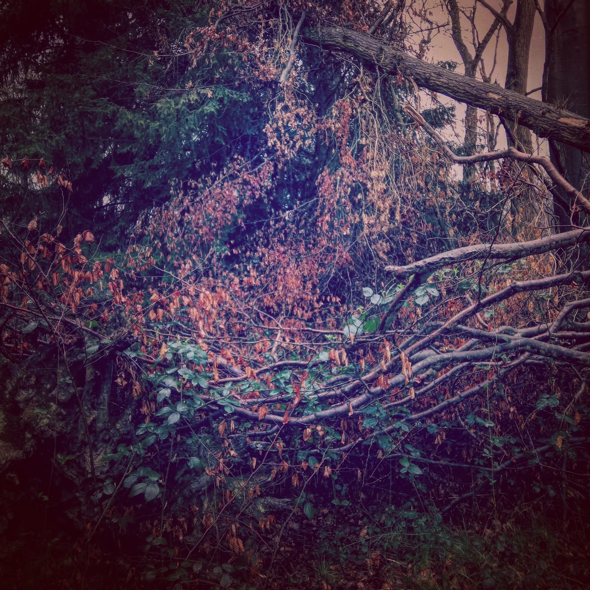 Deciphering new landscapes