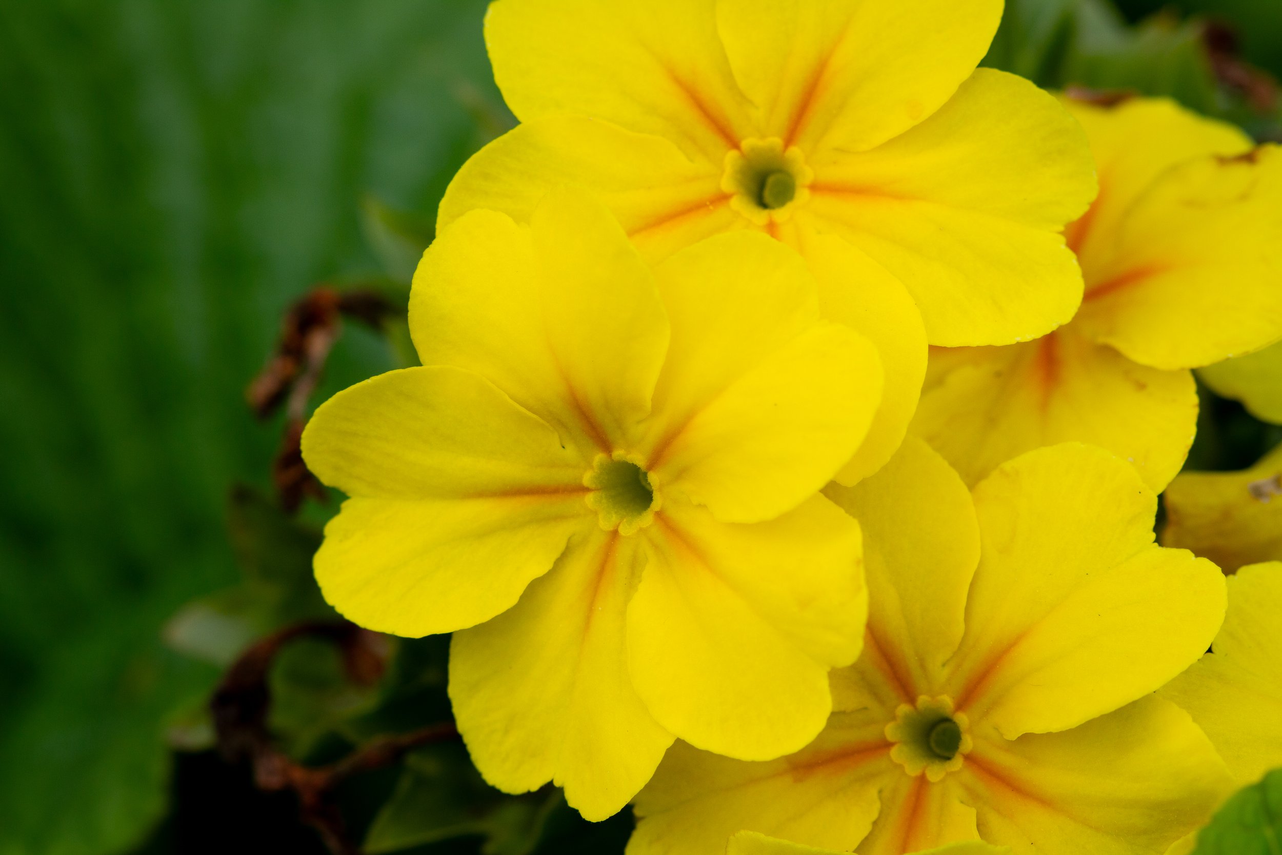 IMG_0390.jpg