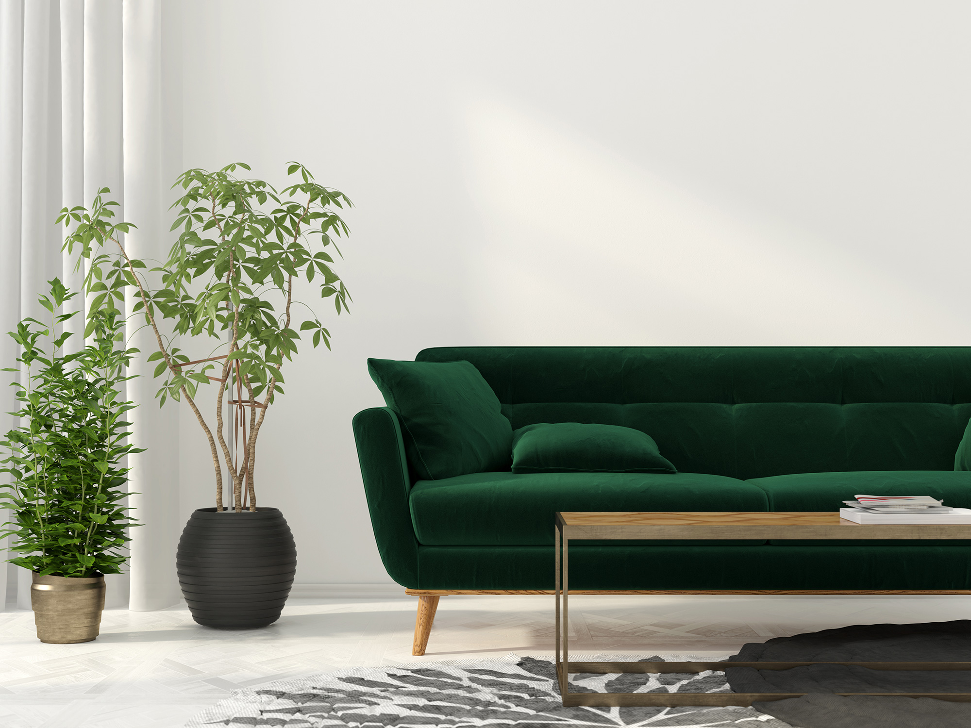 Beautiful contemporary lounge with dark green sofa