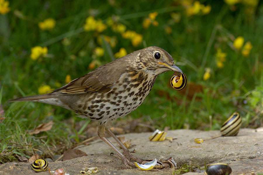 Pic: Dave Watts / Alamy