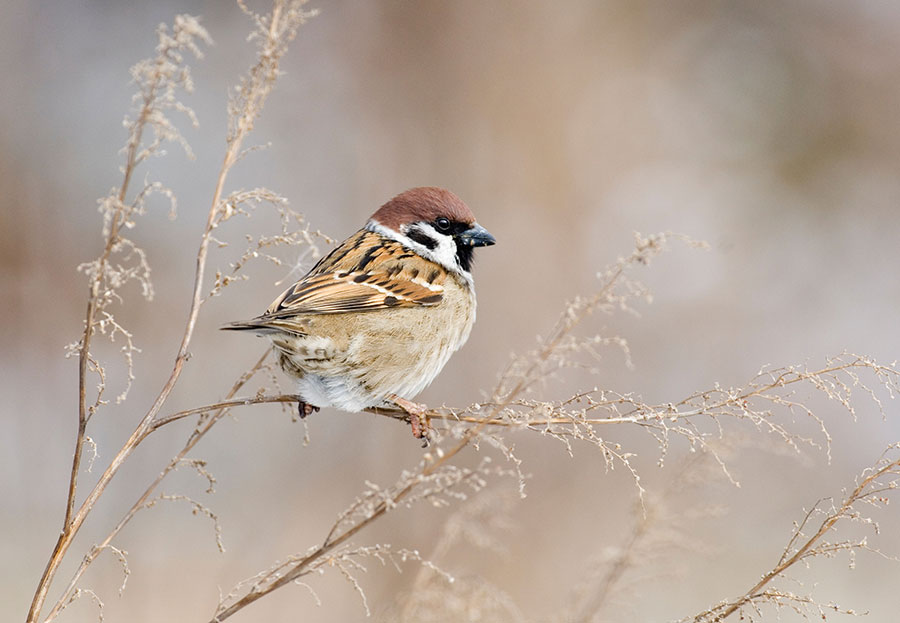 Pic: Photoshot License Ltd / Alamy