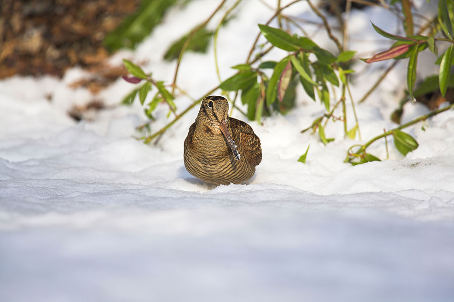 Pic: Oliver Smart / Alamy