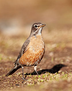 Pic Robert Harding World Imagery / Alamy Stock Photo
