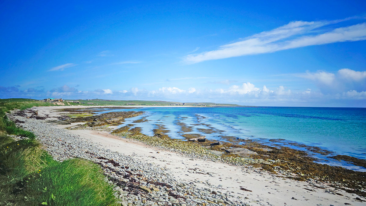 WIN a birding break on beautiful Orkney