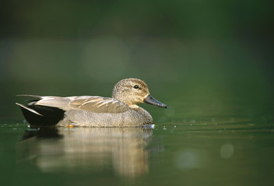 Pic: Arterra Picture Library / Alamy Stock Photo