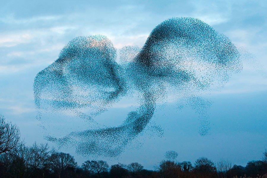 Pic: Mark Bretherton / Alamy Stock Photo