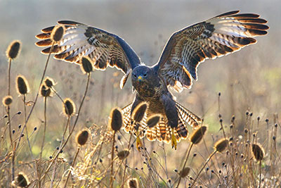 Pic: Edo Schmidt / Alamy Stock Photo