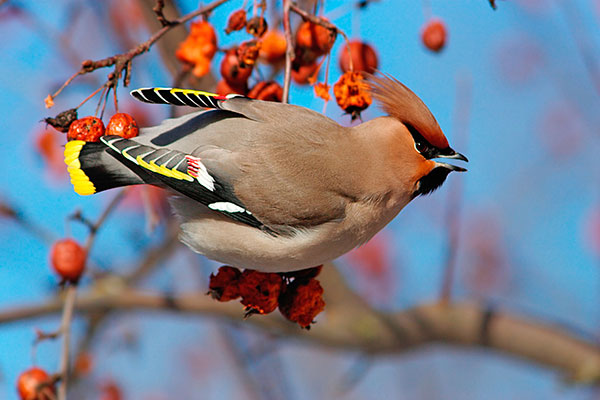 Pic: Aivar Mikko / Alamy Stock Photo