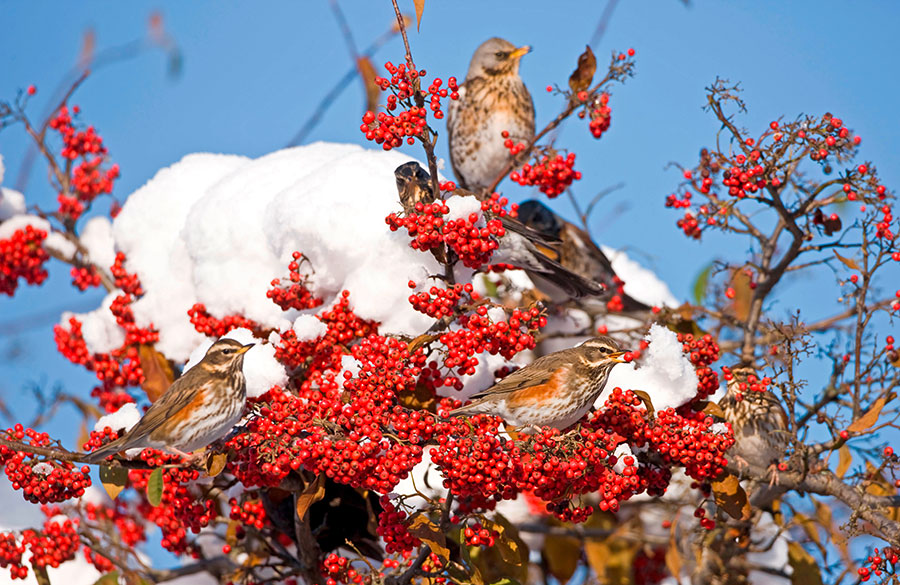 Pic: GEORGE RESZETER / Alamy Stock Photo