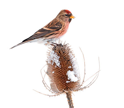 Pic: Lisa Geoghegan / Alamy
