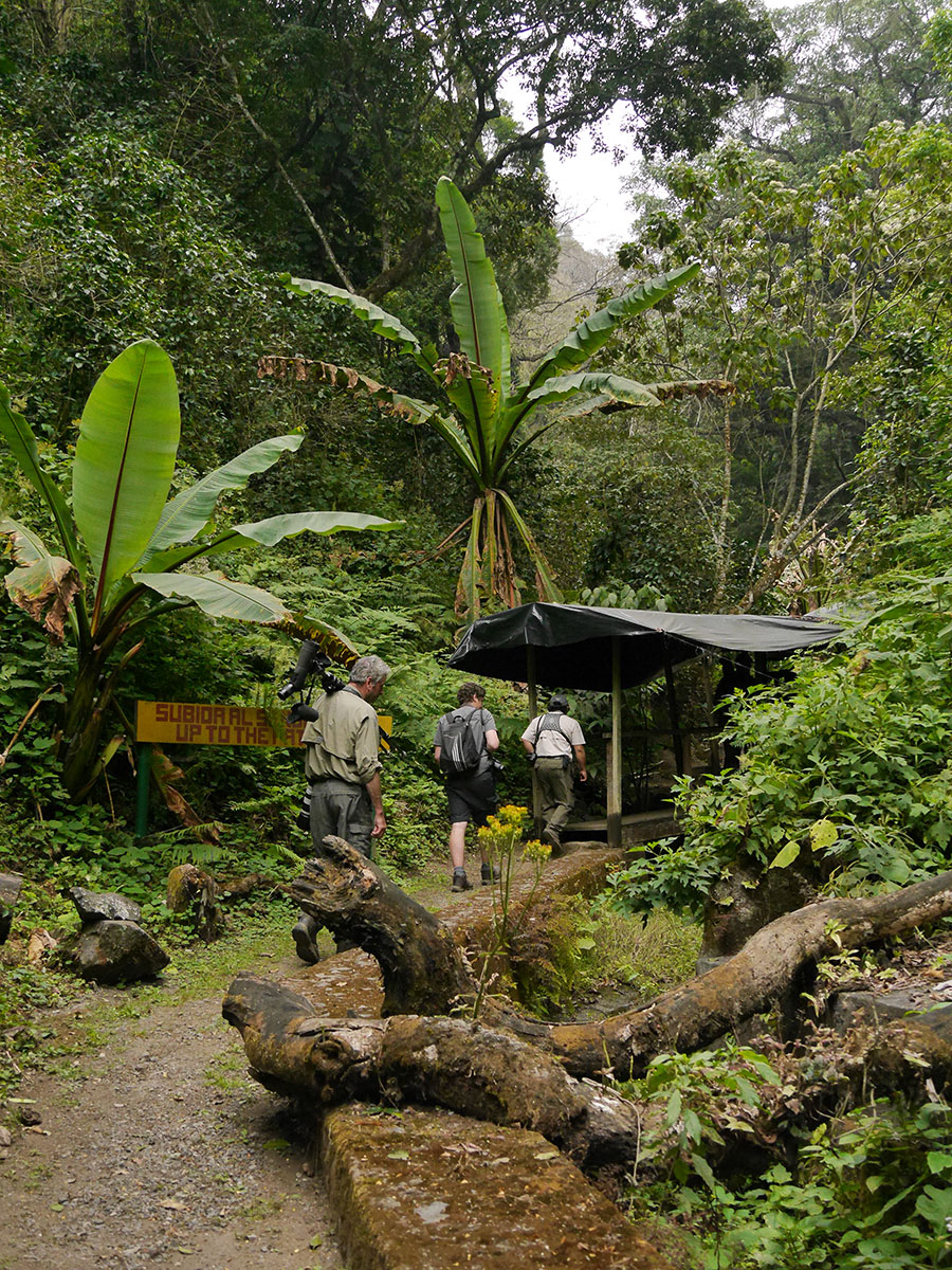 Finca El Pilar