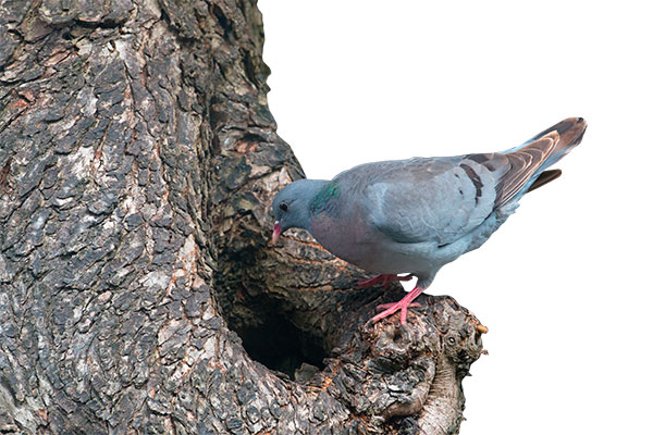 Pic: Lisa Geoghegan / Alamy