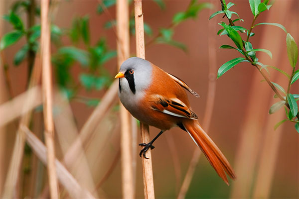 Pic: nigel pye / Alamy