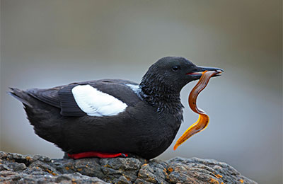 Pic: Alamy