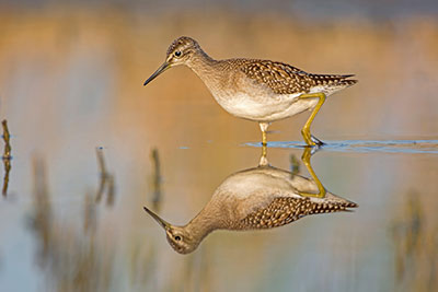 Pic: Alamy