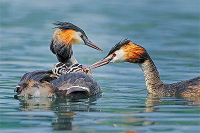 Pic: Alamy