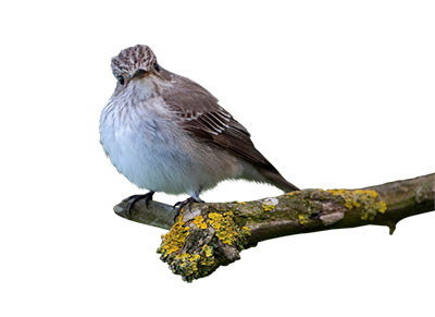 Pic: Alamy