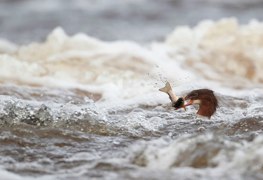 Pic: Alamy