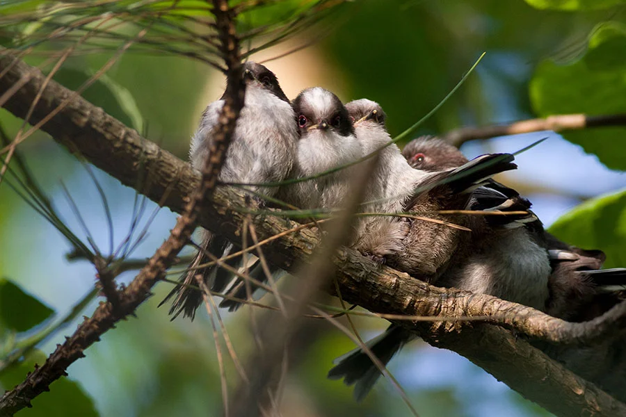 Pic: Lisa Geoghegan/Alamy