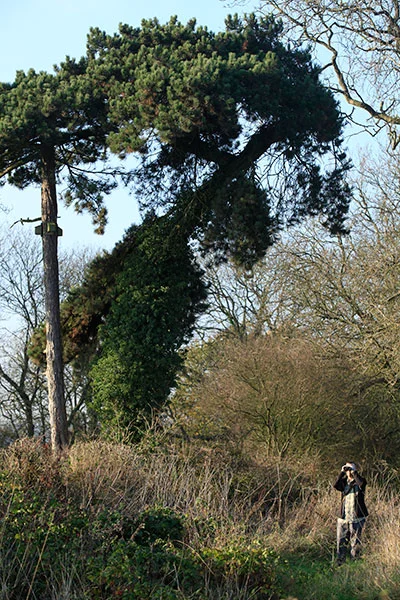 _MG_1245.jpg