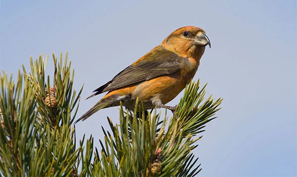 Pic: David whitaker/Alamy